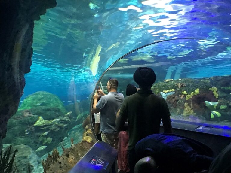 view2 800x600 1 768x576