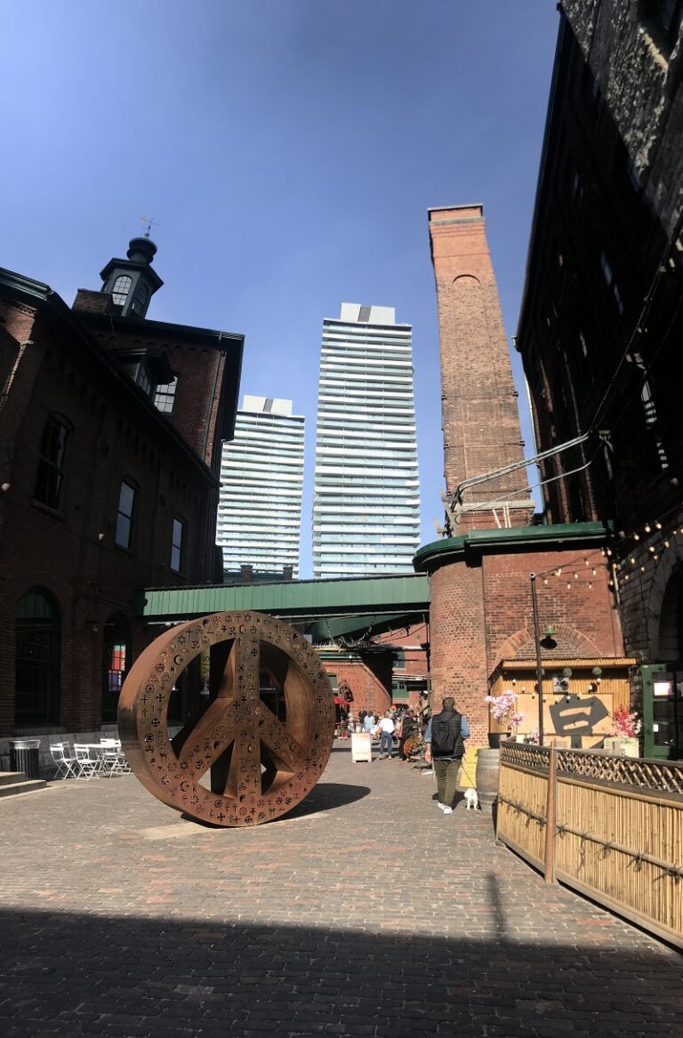 IMG 0790 800x600 1 768x1167