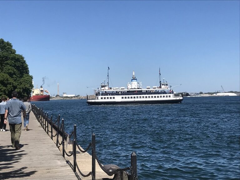 IMG 9861 800x600 1 768x576